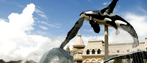 杭州品牌設(shè)計 只為給您打造&ldquo;昂貴&rdquo;的品牌