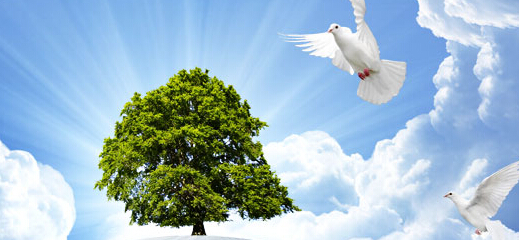 品牌設計公司在社會上有什么用途?