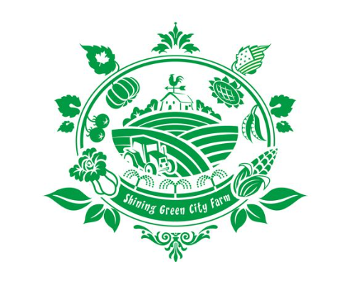 公司logo設(shè)計價格是否能夠讓人接收