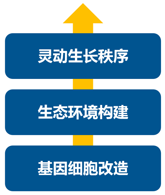 消費(fèi)升級大時(shí)代,品牌如何進(jìn)行戰(zhàn)略升級?