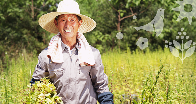 品牌形象vi設計公司是怎么進行食品品牌形象設計的？