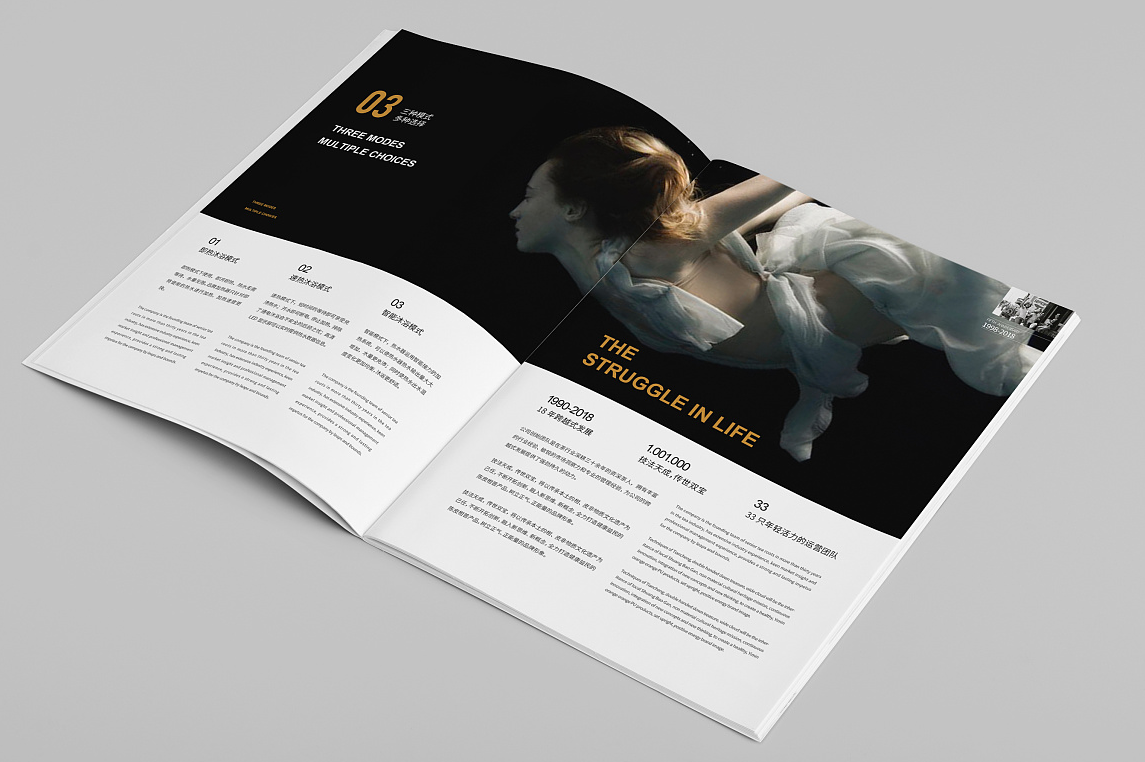 政府宣傳冊(cè)設(shè)計(jì)怎么做更好