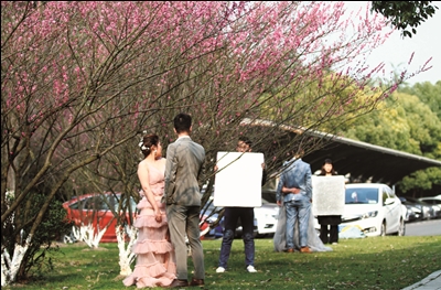 創(chuàng)意視頻制作公司選哪家