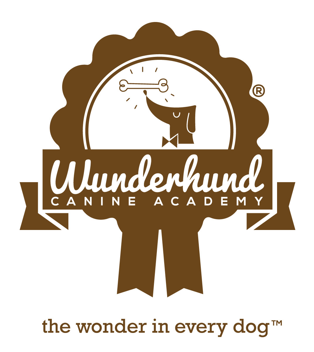 Wunderhund犬學會直郵活動VI設計