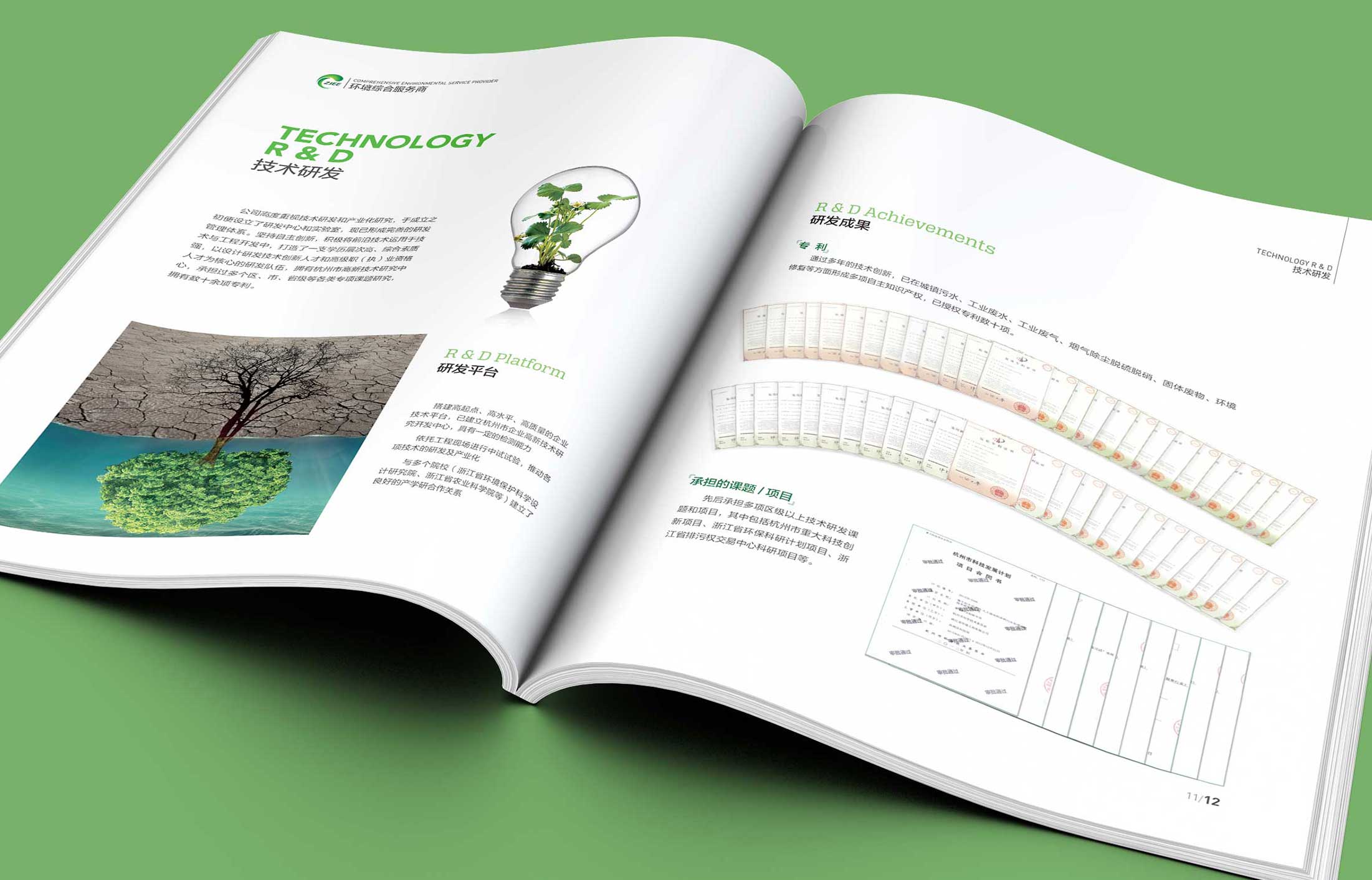 1597746014317491.jpg 3.jpg