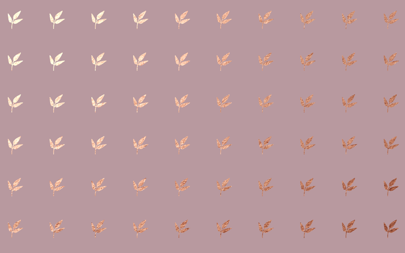 為了博得美人一笑，甜品包裝也是拼了……