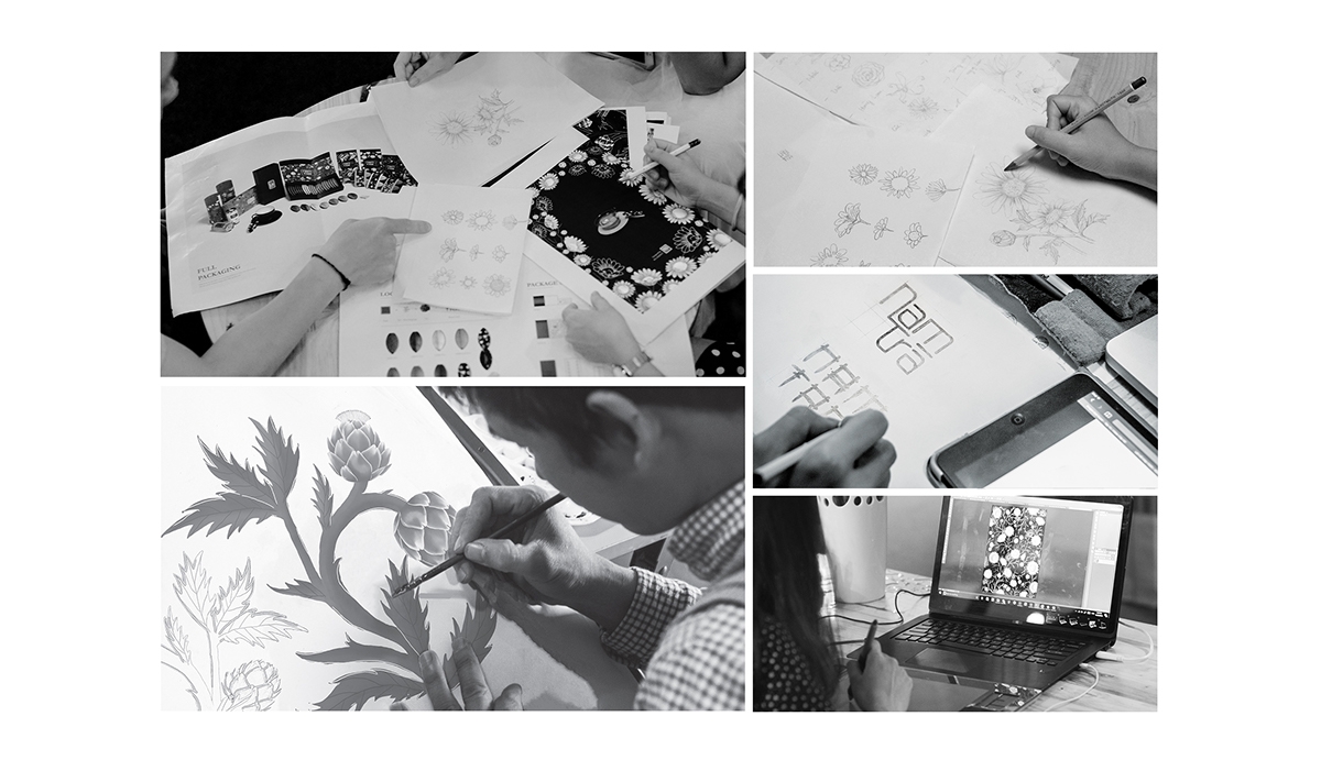 花茶包裝插畫設計