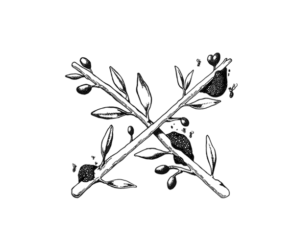 Helleo天然肥皂系列品牌包裝設(shè)計，六個肥皂，六個故事