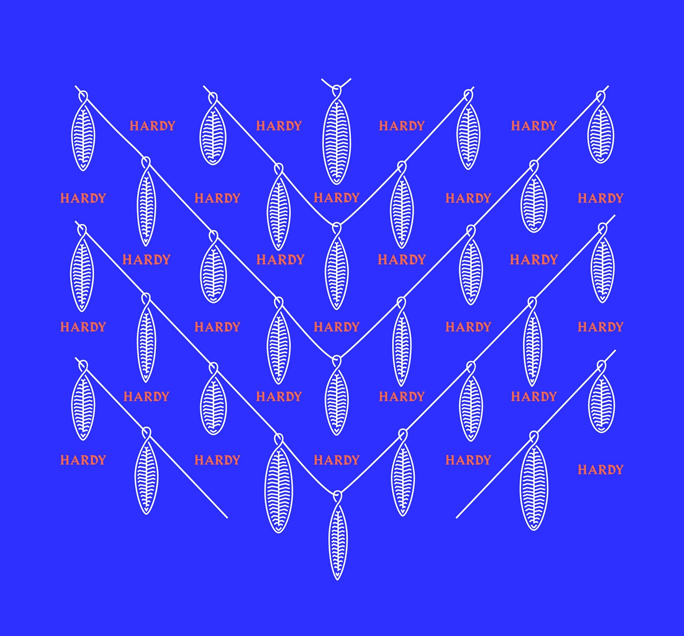 傳統熏鮭魚包裝設計