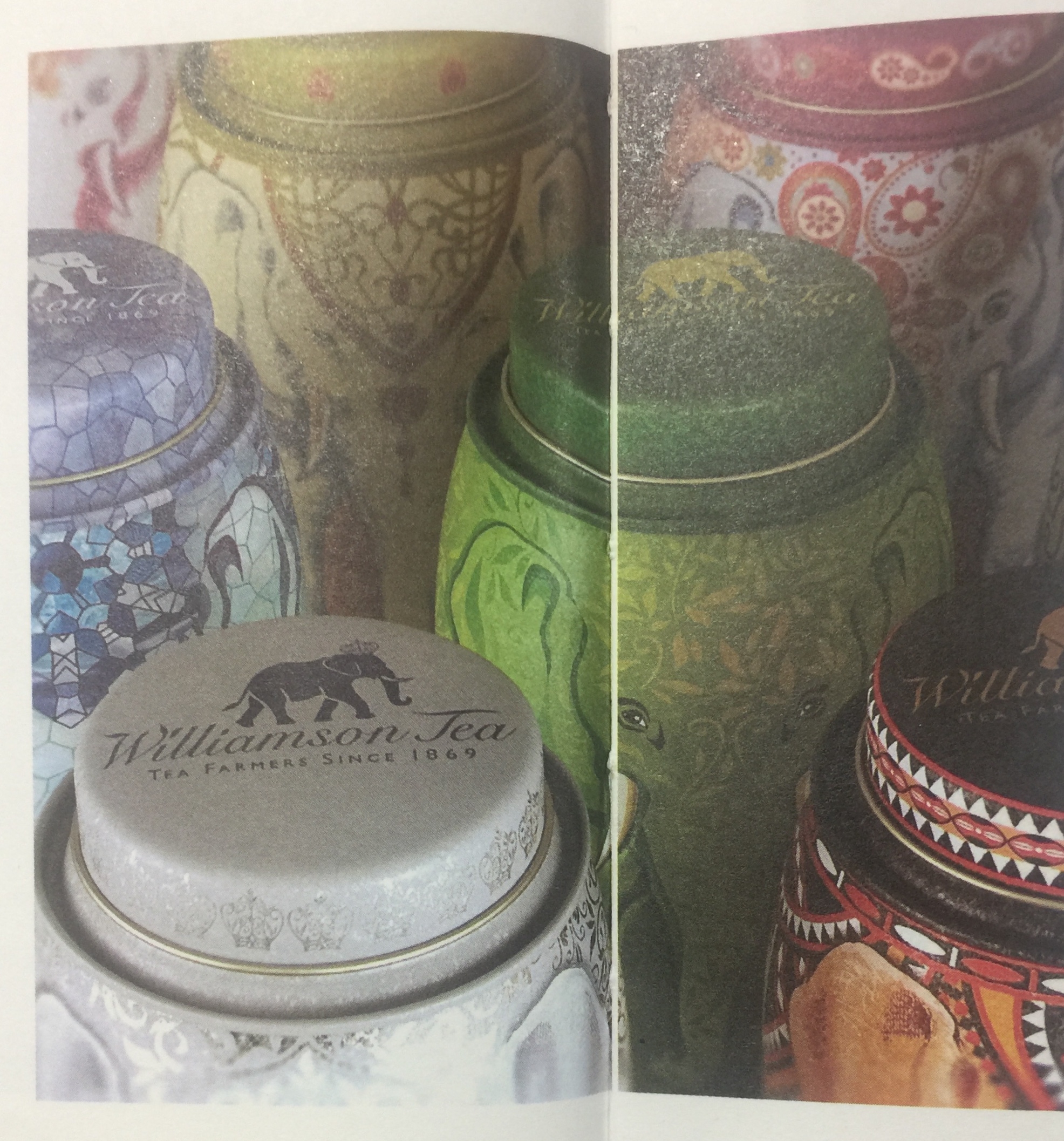 罐裝-傳統風格的茶葉包裝設計