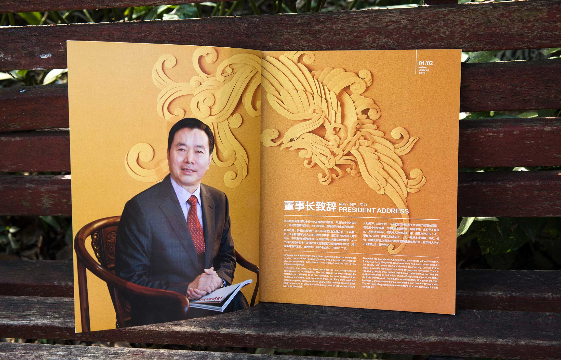 新鳳鳴集團(tuán)畫冊(cè)